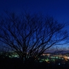 室蘭夜景4