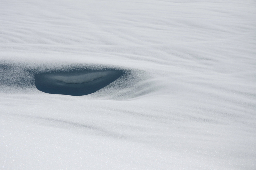 雪原の微笑み