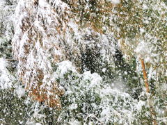 3-11 その日と同じ雪が降る