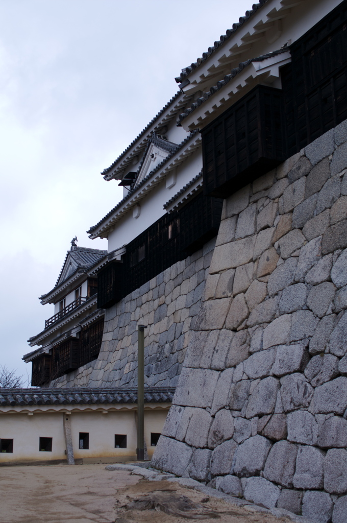 松山観光10