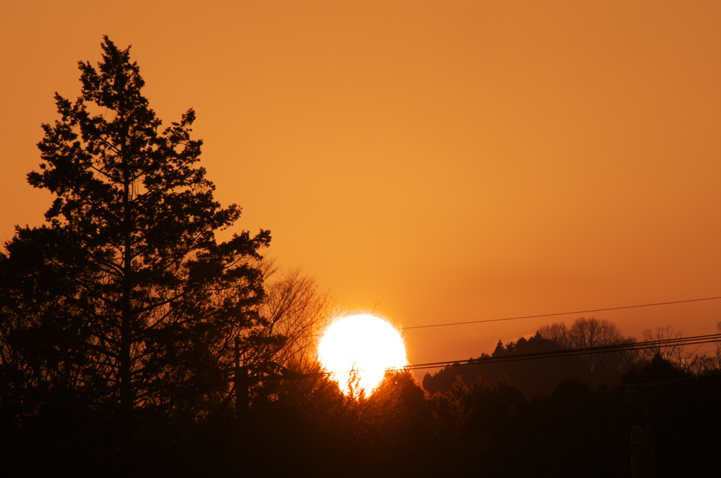 夕陽