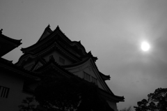 岸和田の乱