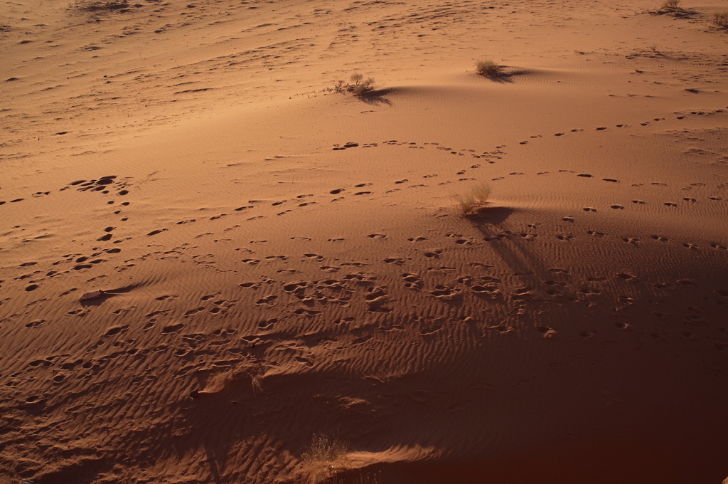 Wadi Rum,Jordan