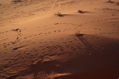 Wadi Rum,Jordan