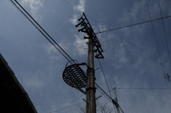 電信柱