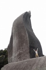 P1040779