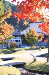 あさ