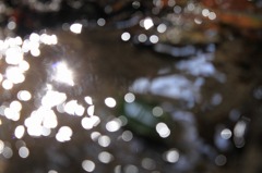IMG_3045