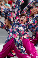 2011にいがた総おどり_05