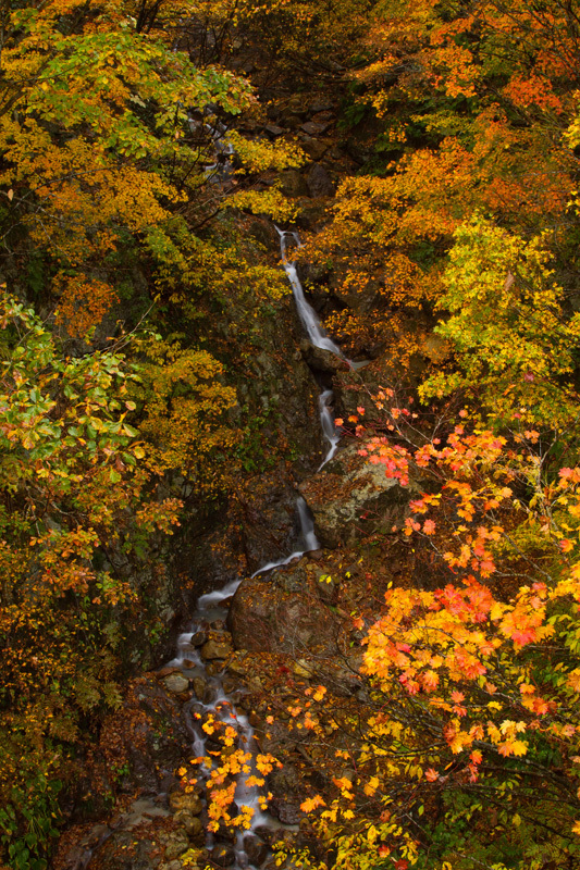 入広瀬　秋彩01