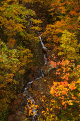 入広瀬　秋彩01