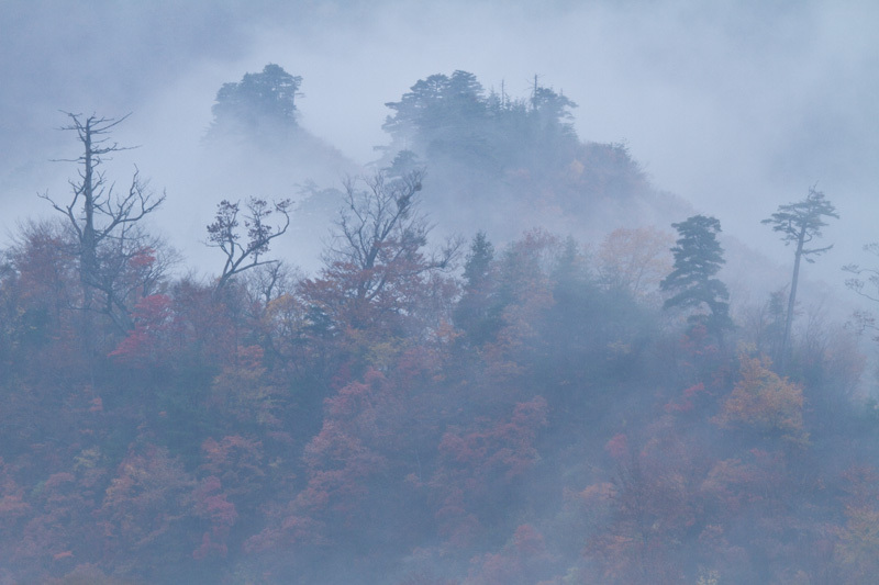 入広瀬　秋彩02