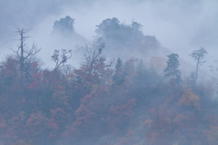 入広瀬　秋彩02