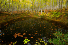 美人林　秋いろ