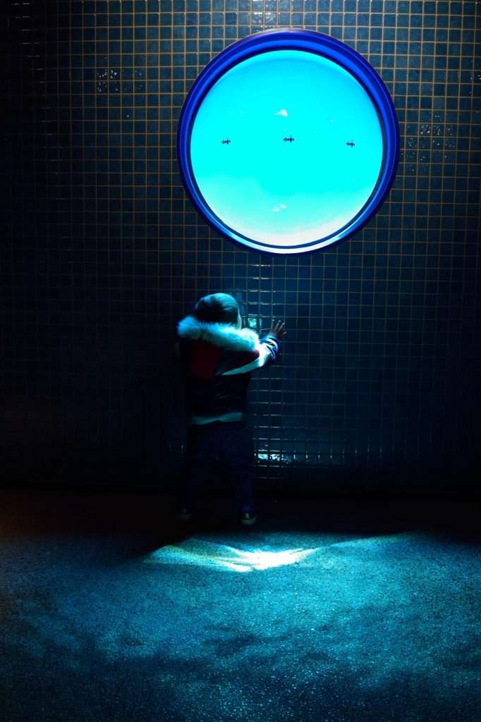 AQUARIUM
