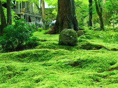 やっと会えたね