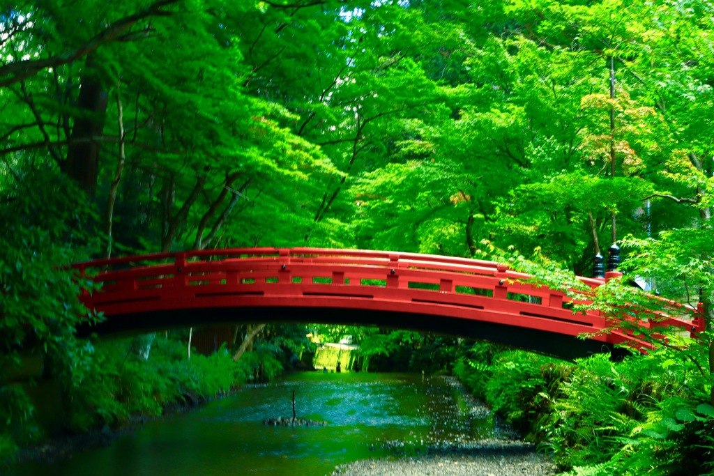 初夏の小國神社