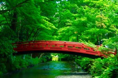 初夏の小國神社