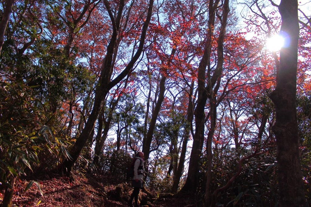 金時山登頂記念