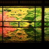 瑠璃光院