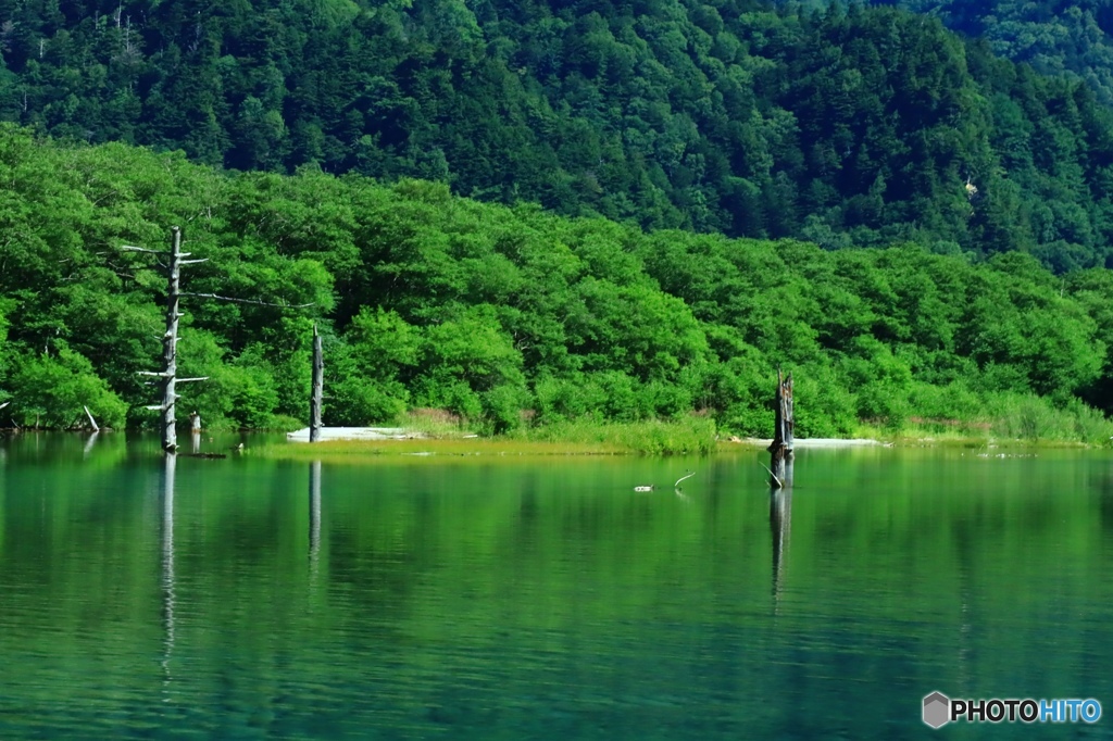 大正池