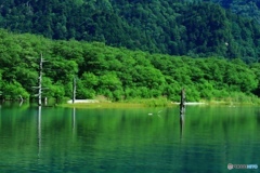 大正池