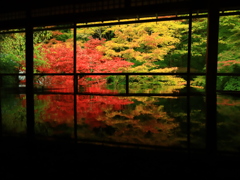秋の瑠璃光院