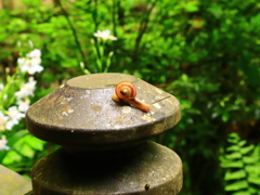 雨上がりの朝