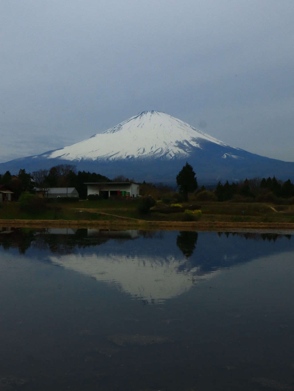 田植え前の朝