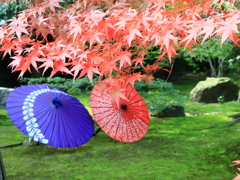 勝林寺
