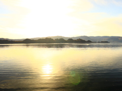 夕日に輝く