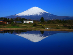 田植え前の田んぼに映る富士山