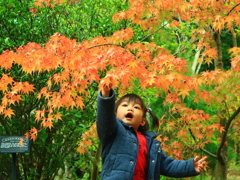初めての紅葉狩り