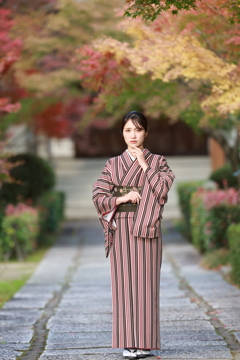 紅葉のとき