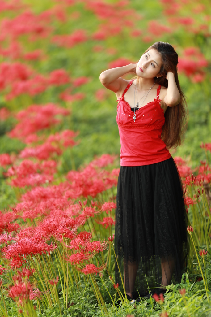彼岸花の中で