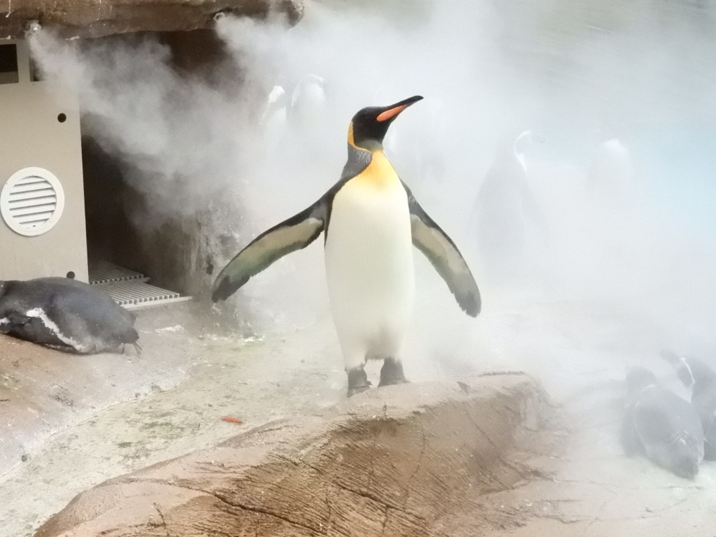 ラスボス感