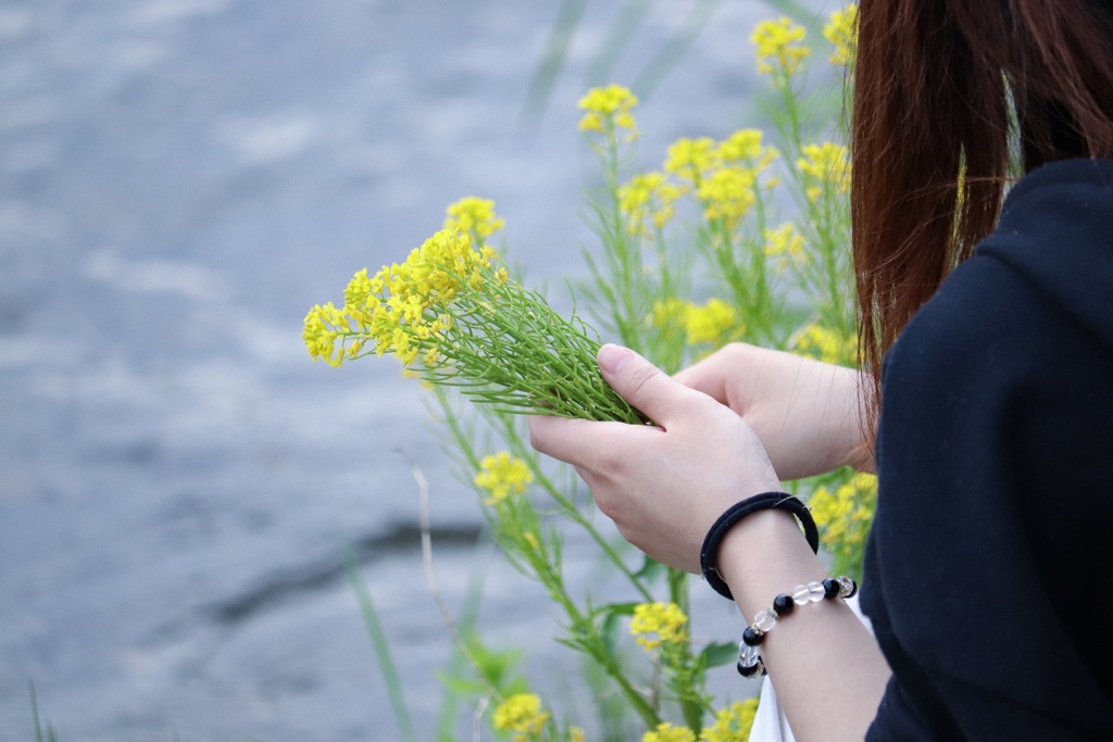 花が綺麗で、