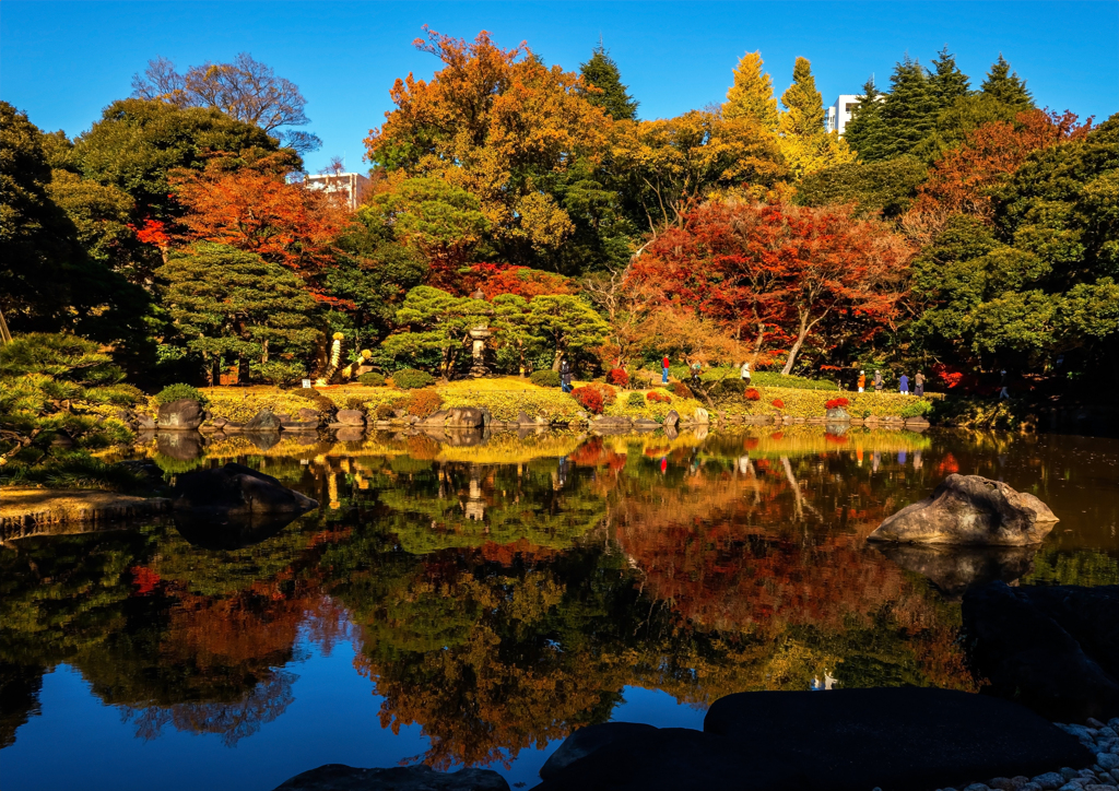 紅葉の水鏡