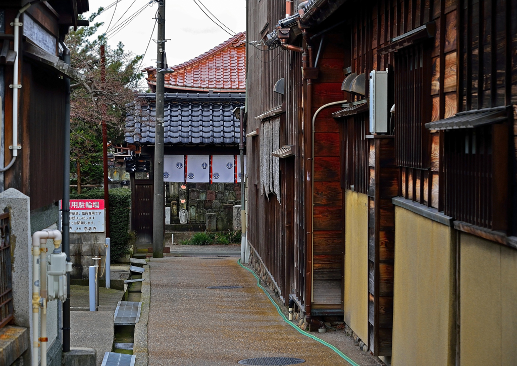 寺町の路地