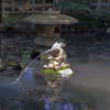 神池の兎