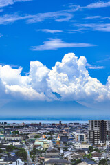 夏のコントラスト