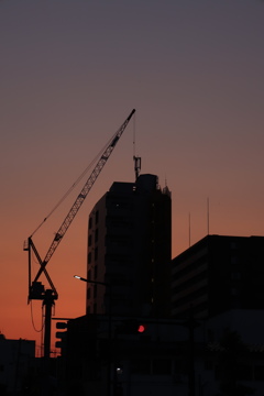 夕まづめ　ビルが釣れました