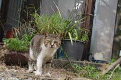 思い出