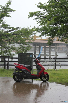 梅雨の大雨