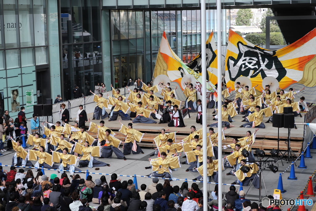 2018年 浜松がんこ祭