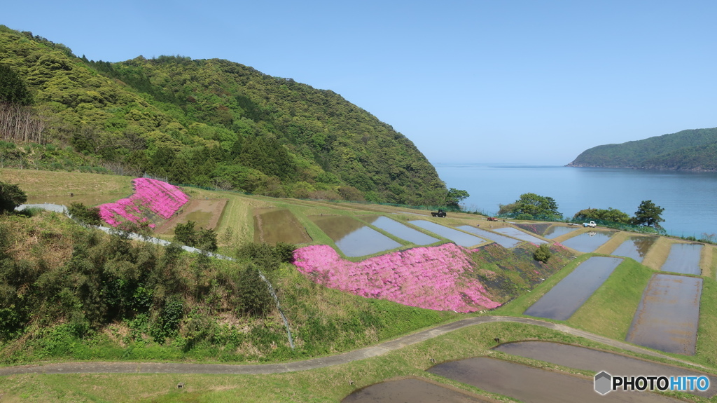 田烏の棚田