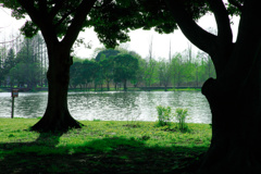 deep green