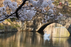 朝の風景