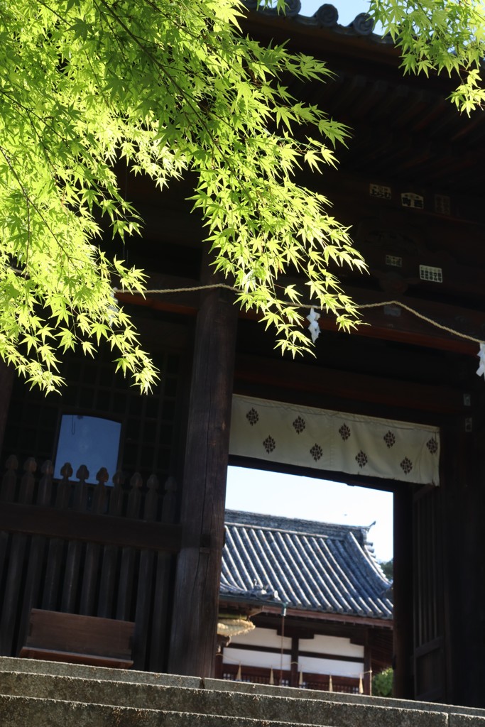 朝の散歩　神聖な域へ
