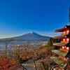 早朝の富士山